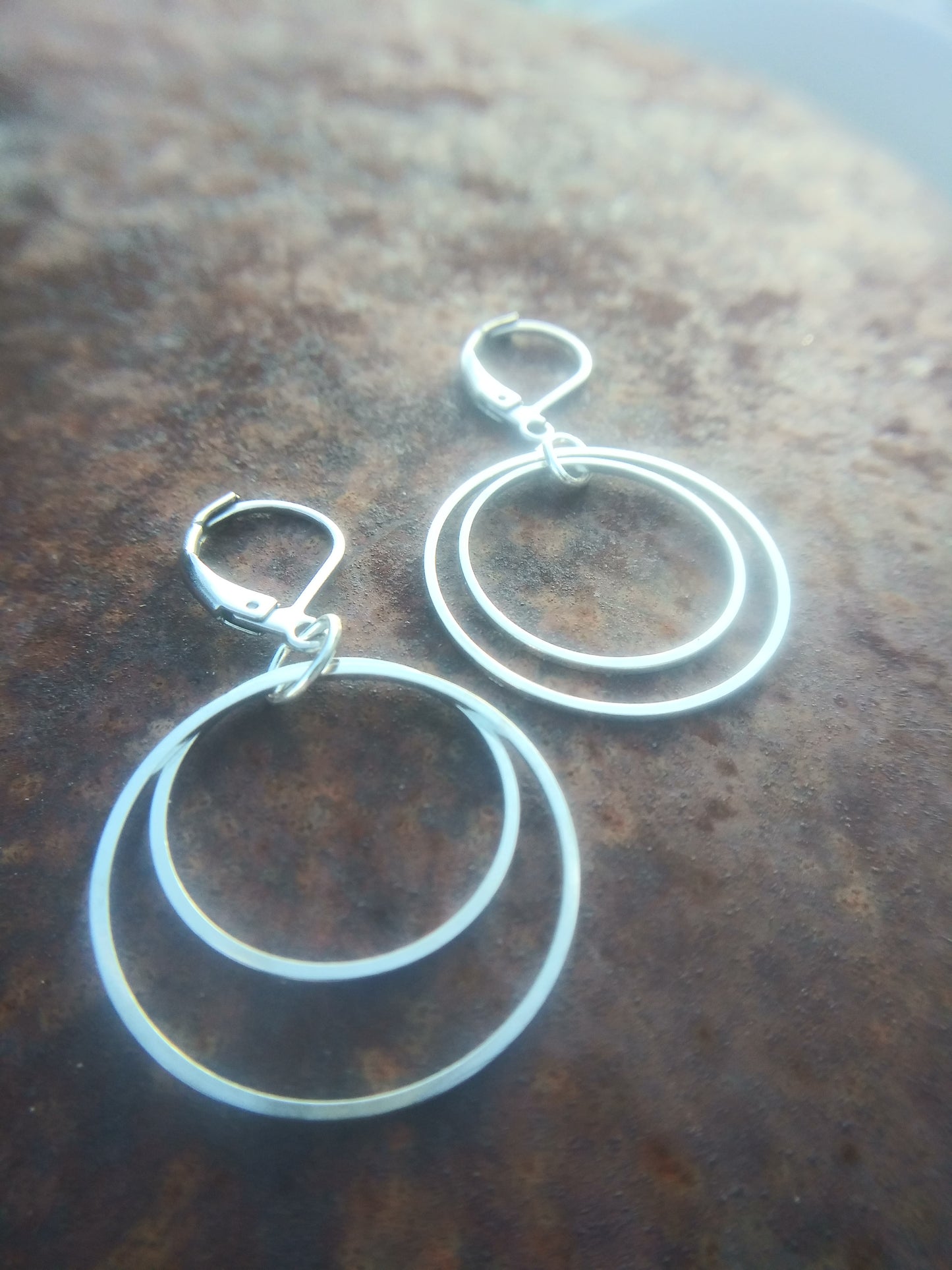 Double circles earrings